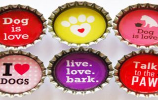 Bottle cap magnets