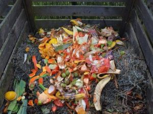 Getting Started With Composting