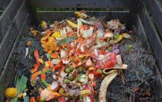 Getting Started With Composting