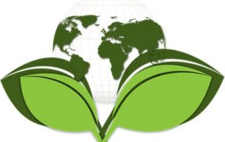 Green is Good – Why being environmentally friendly is wallet friendly