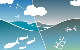 Why Plastic is a Problem for Our Waterways