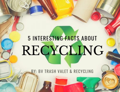 5 Interesting Facts About Recycling