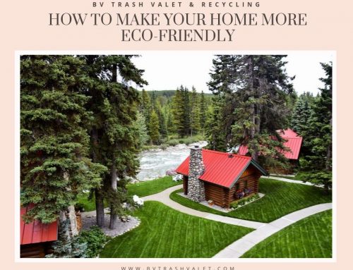 How to Make Your Home More Eco-Friendly, Room By Room