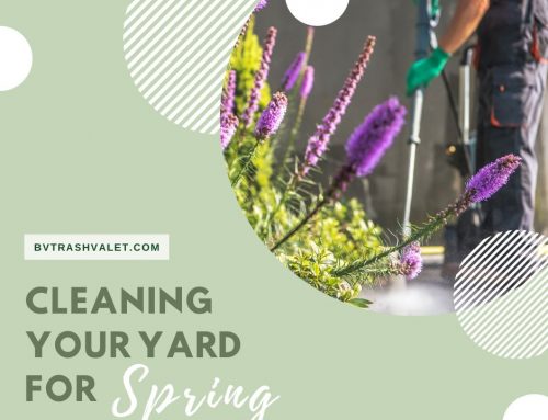 Cleaning Your Yard for Spring