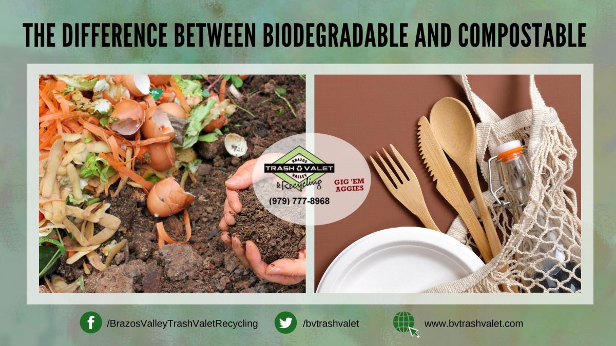 The Difference Between Biodegradable and Compostable BV Trash Valet