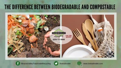 biodegradable compostable