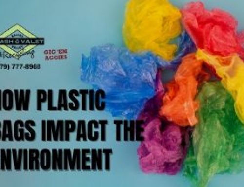 How Plastic Bags Impact the Environment