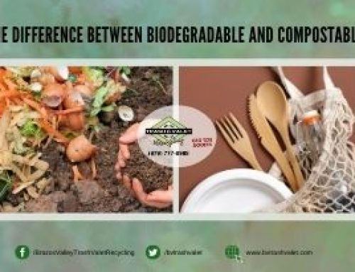 The Difference Between Biodegradable and Compostable