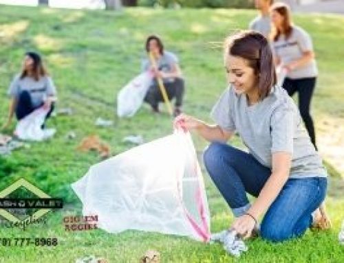 Support Your Community Environment With Park Cleanups