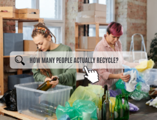 How Many People Actually Recycle?