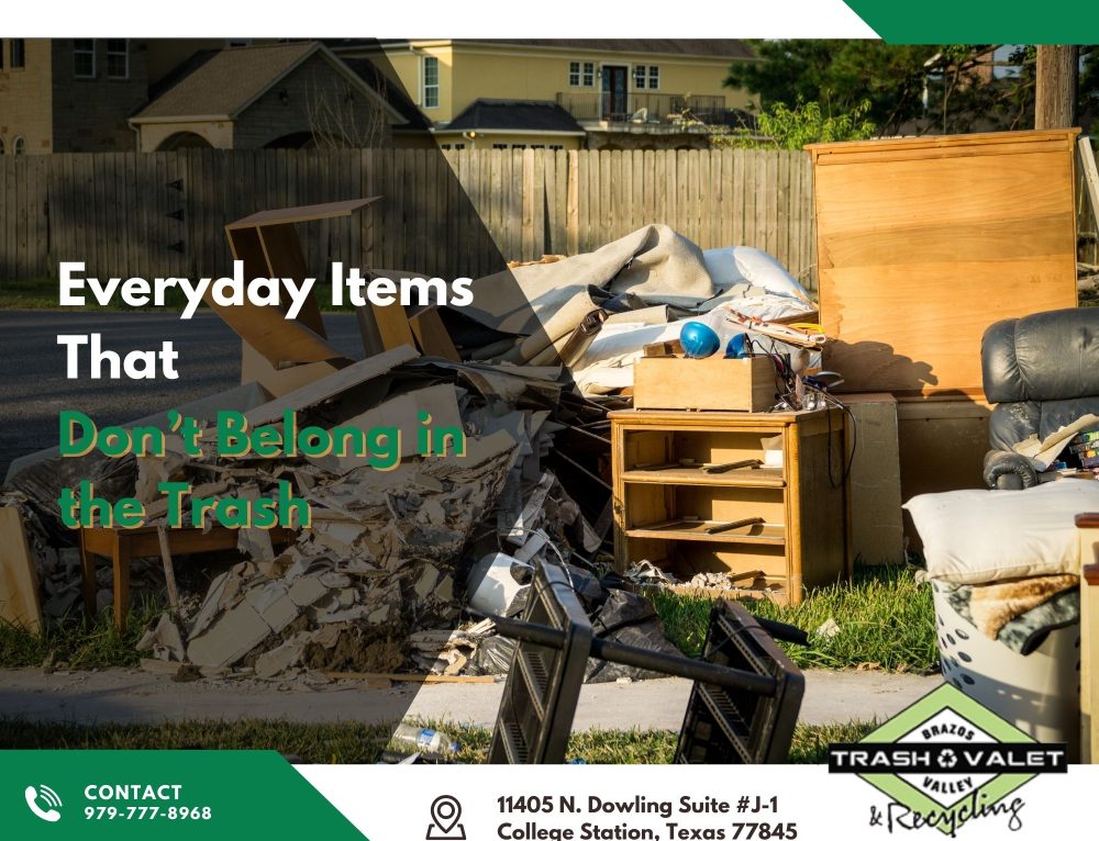 The 3 Best Ways to Dispose of Ammunition BV Trash Valet & Recycling