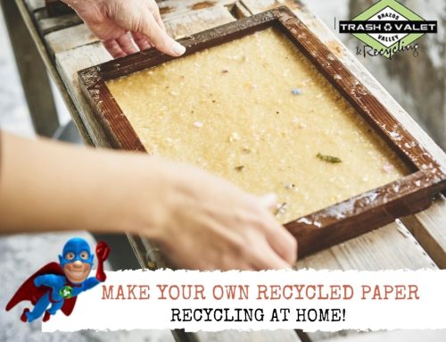 Recycling at Home! Make Your Own Recycled Paper