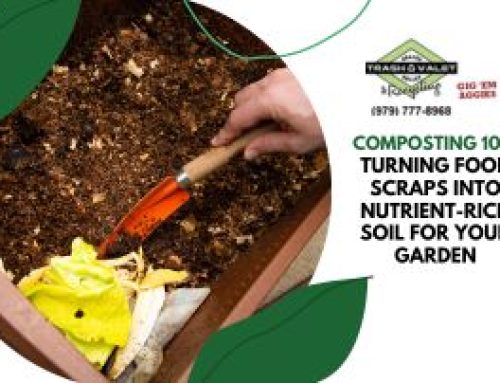 Composting 101: Turning Food Scraps into Nutrient-Rich Soil for Your Garden