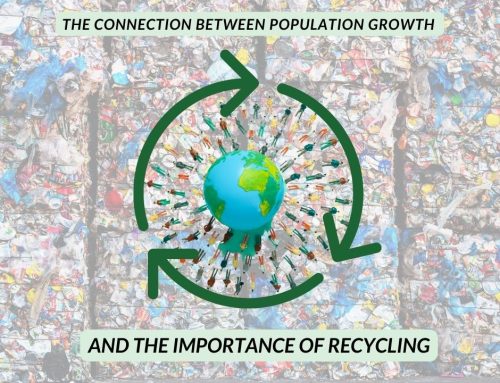 The Connection Between Population Growth and the Importance of Recycling