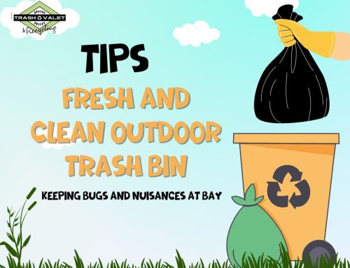 Tips for a Fresh and Clean Outdoor Trash Bin: Keeping Bugs and Nuisances at Bay