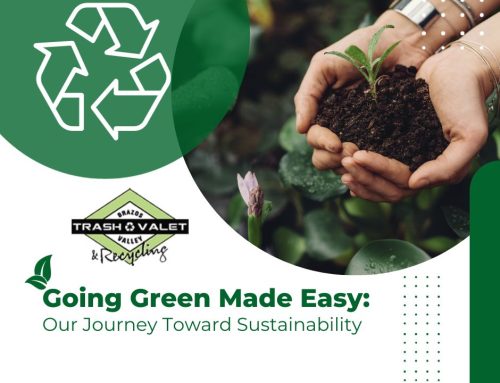 Going Green Made Easy: Our Journey Toward Sustainability