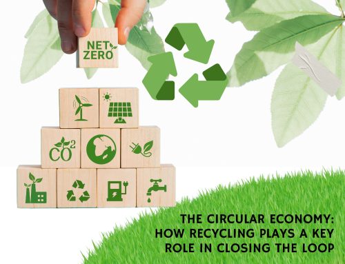 The Circular Economy: How Recycling Plays a Key Role in Closing the Loop