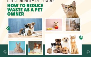 pet-care