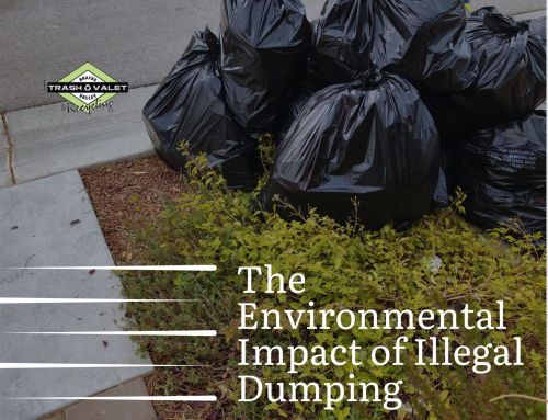 The Environmental Impact of Illegal Dumping