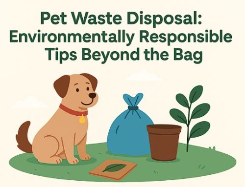 Pet Waste Disposal: Environmentally Responsible Tips Beyond the Bag