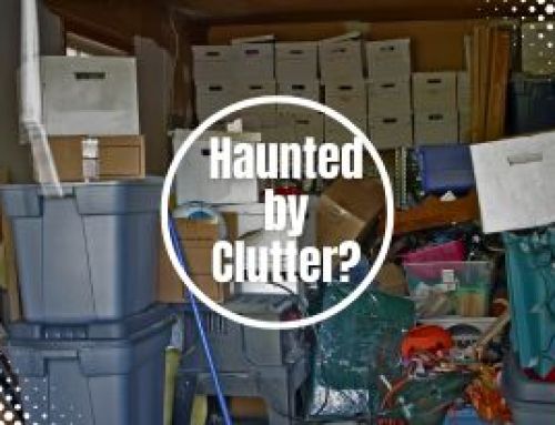 Haunted by Clutter? A Step-by-Step Guide to an Eco-Friendly Fall Declutter