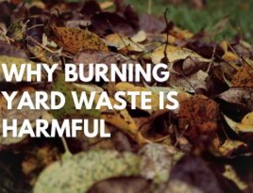 Why Burning Yard Waste Is Harmful