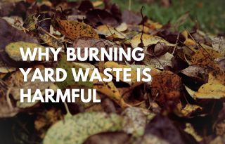 Why Burning Yard Waste Is Harmful