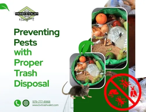 Preventing Pests with Proper Trash Disposal