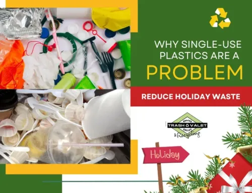 Single-Use Plastics: Reduce Holiday Waste
