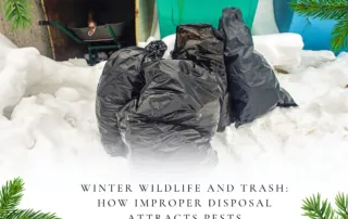 winter-trash