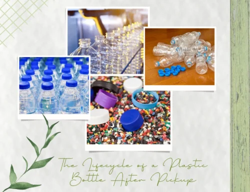The Lifecycle of a Plastic Bottle After Pickup