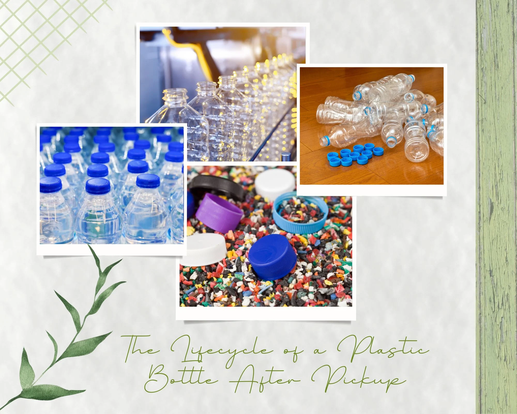 The Lifecycle of a Plastic Bottle After Pickup