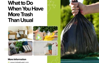 Trash Disposal