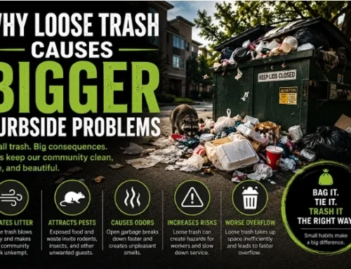 Why Loose Trash Causes Bigger Curbside Problems